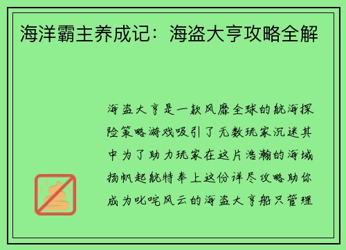 海洋霸主养成记：海盗大亨攻略全解